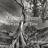 Photographing trees