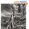 Ancient Trees: Portraits of Time