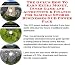 The Guru's How To Earn Extra Money, Inner Game and Accounting & Finance for Samurai Swords Businesses 3 CD Power Pack