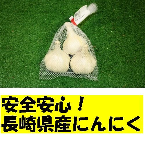 九州　長崎県産　農産物直売所　販売用　にんにく