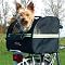Hunde und Fahrrad/offroad