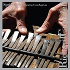Spring Steel by Richard Crandell and Cyro Baptista