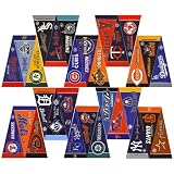MLB Major League Baseball Mini-Pennant Set