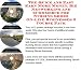The Quick and Easy Earn More Money, Biz Networking and eCommerce for Nursing Shoes On-line Businesses 3 Course Pack
