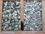 【ノーブランド品】五色玉砂利　美山水 (5分)