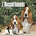 Basset Hounds - 2017 Mini Calendar 7 x 7in