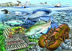 Life in the Atlantic Ocean (35 Piece Tray Puzzle)