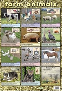 Wild animals their homes pictures