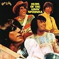 Hums of the Lovin' Spoonful