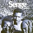 Senge