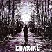 Coaxial