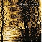 Tuesday Wonderland by Esbjorn Svensson Trio and E.S.T.