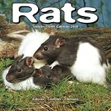 2009 Rats Wall Calendar