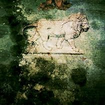 Beneath the Top Soil