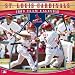 St. Louis Cardinals 2009  Wall Calendar