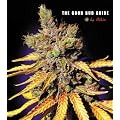 The Good Bud Guide