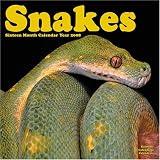 Snakes 2008 Wall Calendar