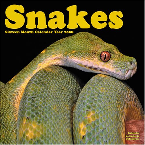 Snakes 2008 Wall Calendar