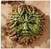 The Somerset Greenmen Sculpture