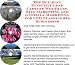 Book The Guerilla Marketing, Building Effective Lead Capture Web Pages, SIVA Marketing for LED Flashlights Businesses