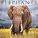 Elephants 2017 Wall Calendar
