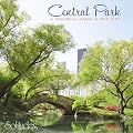 Central Park: A Peaceful Oasis in the City