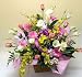 �ԍH�[�ԑ���G�[�f�����C�X �f�U�C�i�[�Y�`���C�X�A�����W�����g�t�����[�M�t�g�k���F�I�����W�n�l