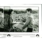 Vintage Photo- Scene from 