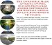 Search : The Incredible Make An Extra Income, Success Principles and Biz Networking for Digital Cameras On-line Businesses 3 CD Course