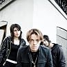 Image of Sick Puppies