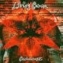 Living Colour: Collideoscope