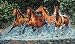 Dimensions Counted Cross Stitch, Galloping Horses