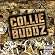 Collie Buddz