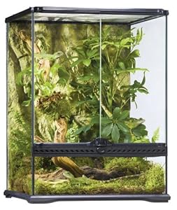 Exo Terra Glass Terrarium, 18 by 18 by 24-Inch