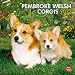 Welsh Corgis, Pembroke 2012 Square 12X12 Calendar (Multilingual Edition)