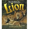 The Life Cycle of a Lion [With CD]