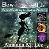 how witch it is wicked witches of the midwest books 1 3
