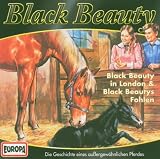 03/Black Beautys Fohlen