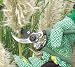 Draper 68256 Telescopic Hedge Shears and Secateur Set