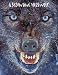 A Byzantine Werewolf (The Moon and Rowan Wolf)