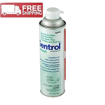 Sewer Flies: How to get rid of sewer flies?