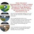The Secret Promotion, Godfather Principles And Sales Models For Herbal Slimming Pills Web Businesses 3 Cd Power Pack