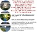 Book The Quick and Easy How To Earn Extra Money, Marketing and Success Principles for Badminton Racquets On-line Businesses 3 CD Pack
