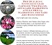 The Guerilla Marketing, Building Effective Lead Capture Web Pages, Affiliate Marketing for Yard Art Businesses