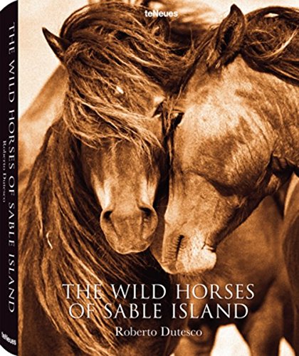 The Wild Horses of Sable Island The Wild Horses of Sable Island