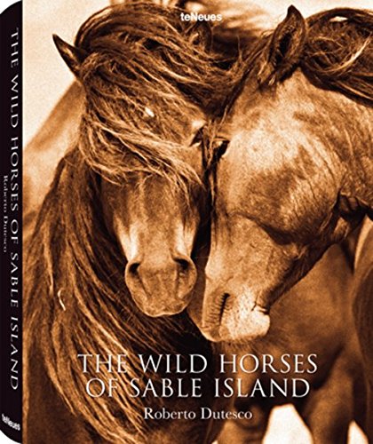 The Wild Horses of Sable Island