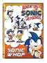 Adventures of Sonic the Hedgehog: Sonic Who?