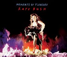Moments of Pleasure