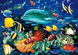 Clementoni 39186.8 – Puzzle Magic 3D 1000 teilig Dolphin Reef