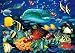 Clementoni 39186.8 - Puzzle Magic 3D 1000 teilig Dolphin Reef
